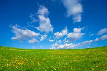 Fototapete 草原と青空 © miiko