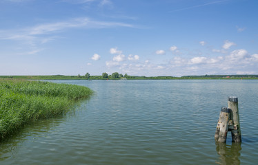 Fototapeta premium am Peenestrom bei Karlshagen auf Usedom