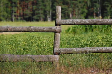 Old wooden village fence on the field with green grass