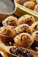 chocolate muffins