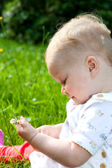 Baby girl portrait on the summer meadow