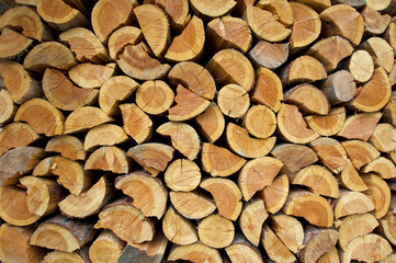 stack of firewood