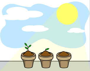 Plants and Sun Light
