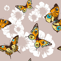 butterfly,butterflies vector