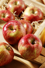 fuji apples