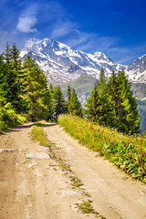 Path in the mountains - French Alps