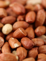 Image of peanuts, a brown background image.