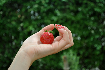 girl with strawbery