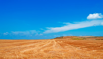 Fototapeta na wymiar hay and blue sky