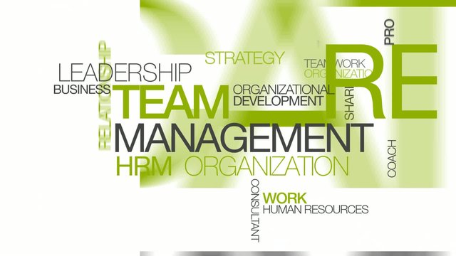 Team management hrm word tag cloud animation