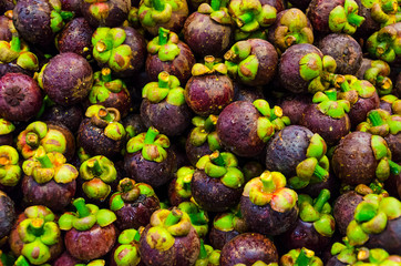 Mangosteen fruit on sales.