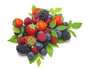 Frutti di bosco - Mixed berries