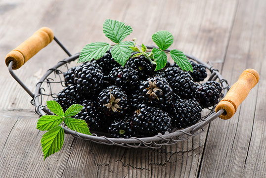 Brombeeren