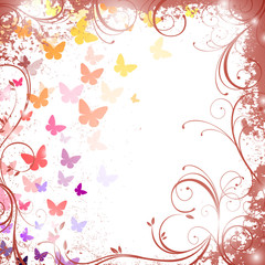 Colorful butterflies