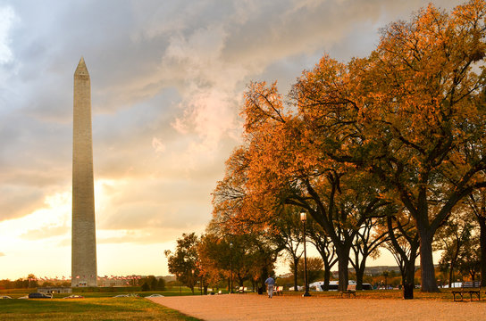 Washington Monument and autumn foliage during sunset - Washington DC United States