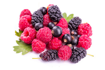 Fresh berries: raspberries, blackcurrants