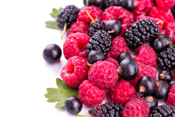 Fresh berries: raspberries, blackcurrants