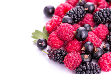 Fresh berries: raspberries, blackcurrants