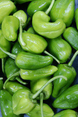 pimientos de padron