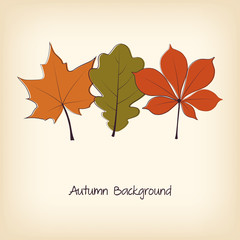 Thanksgiving background with autumn leaves