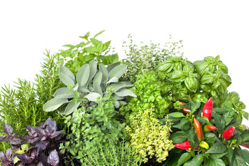 Fototapety  Fresh kitchen herbs