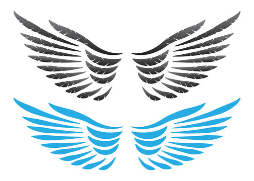 Vector wings illustration