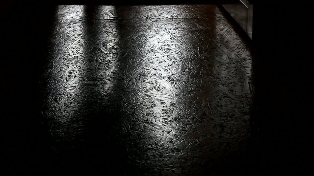 shadow of walking man
