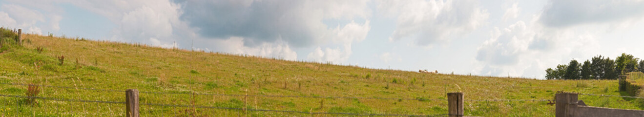 Fototapeta na wymiar Krajobraz Hill z łąki i drzewa i niebieskiego nieba. Panora
