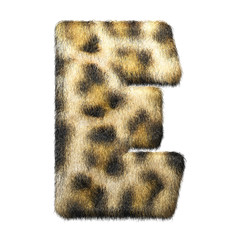 Leopardenfell Letter 