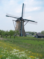 holland rural windmill - 54486105