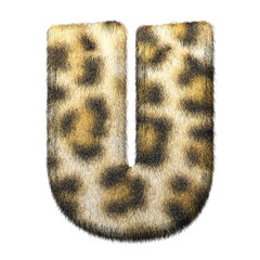 Leopardenfell Letter 