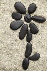 Fototapeta na wymiar Flower with black stones on the sand