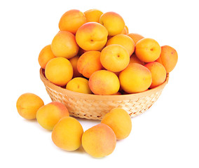Fresh natural apricot in wicker basket isolated on white