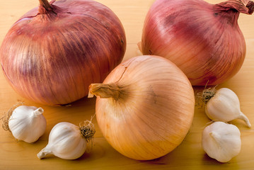 Onion Family