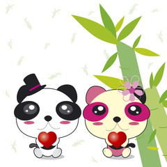 Panda couple