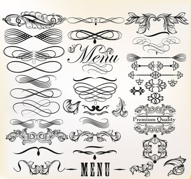 Collection of vector retro design calligraphic  elements and pag
