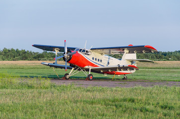 Fototapeta na wymiar Small jet in the field