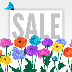 anemone; colorful; summer; sale, discount