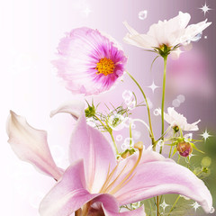 Fototapeta premium Beautiful flower background