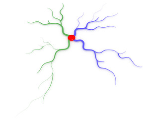 Color map of the mind #2
