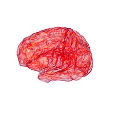Fototapeta premium red x-ray of human brain