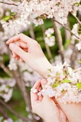 Woman's hands on flower background