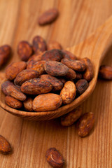 cocoa beans