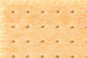 Isolated biscuit. Pin hole. Macro.