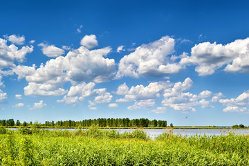 Nature landscape with pond and nice clody sky
