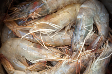 Row scrimps background. Macro photo