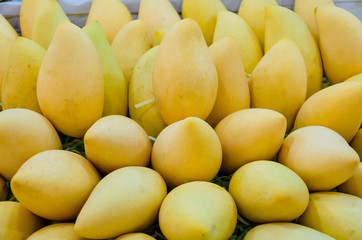 Naklejka na ściany i meble Pile of fresh Barracuda mango on sales in Thailand open market