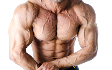 Muscular torso, and arms of male bodybuilder