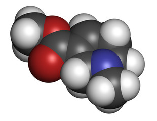 Arecoline areca nut stimulant compound, chemical structure.