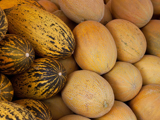 frisch geerntete melonen